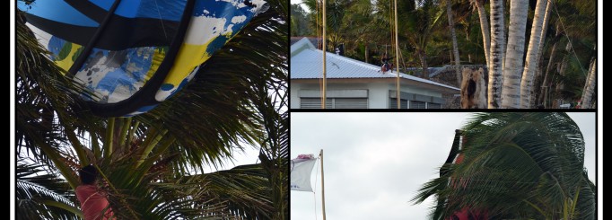 Note to self – Palms near the beach are often closer than they seems to be