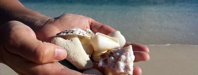 To do in Boa Vista, Cape Verde