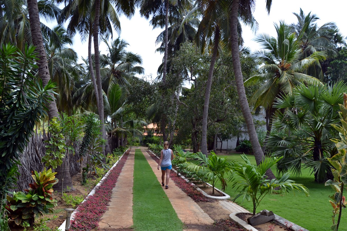 A part of the garden in front of the hotel