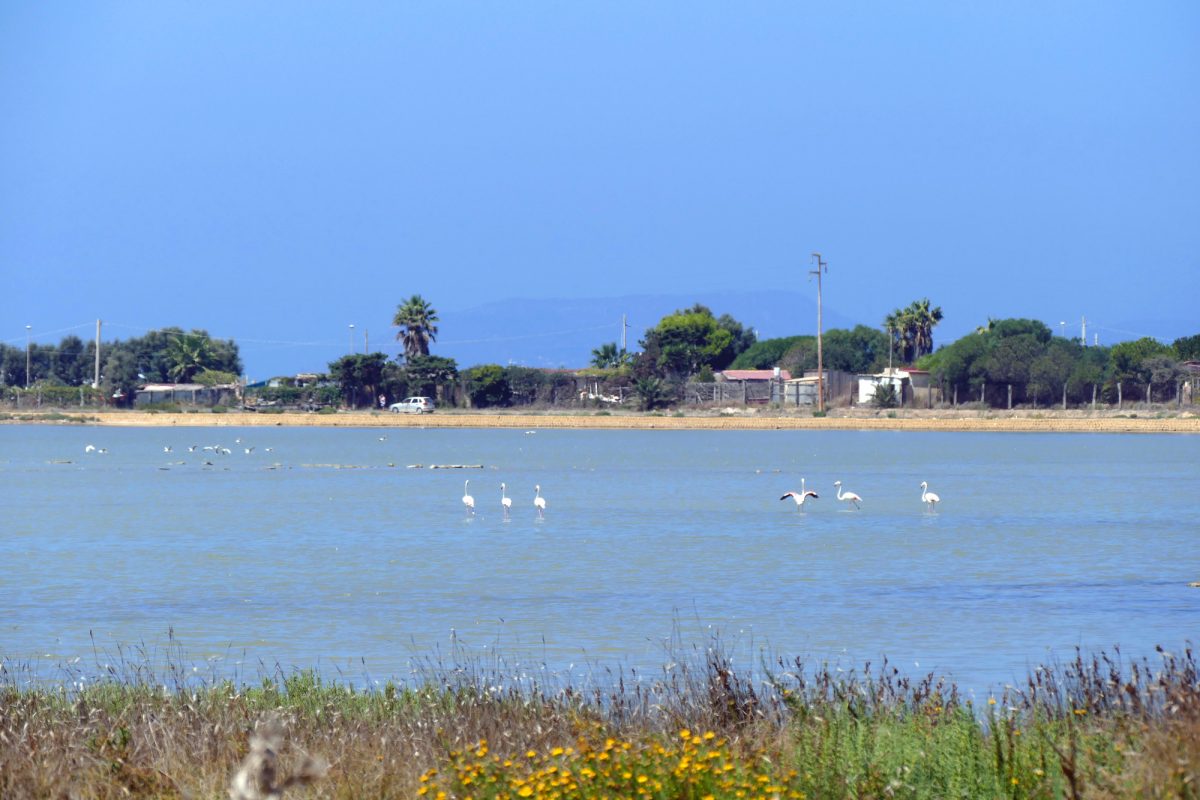 sicilien22