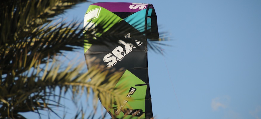 Spleene-SP-X behind a palm